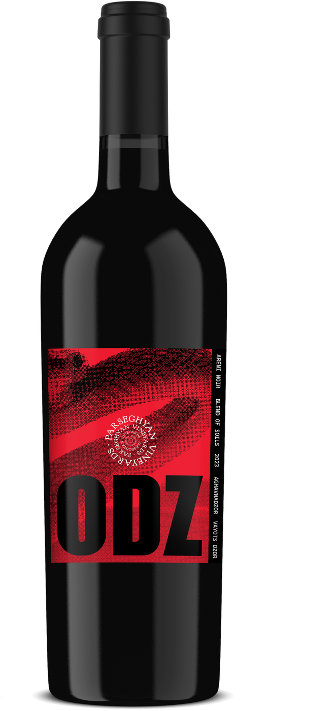 Odz Areni Noir 2024